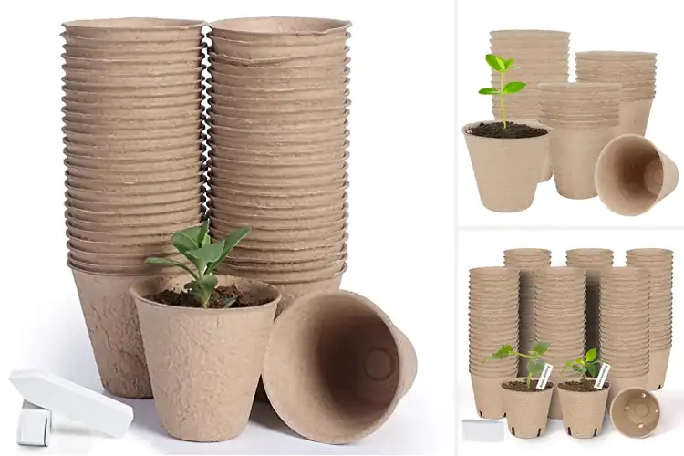Detailed view of Best Biodegradable Plant Pods for Easy Gardening