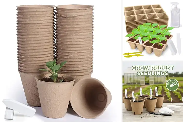 Detailed view of Best Biodegradable Seed Pods: Grow Green, Thrive Sustainably