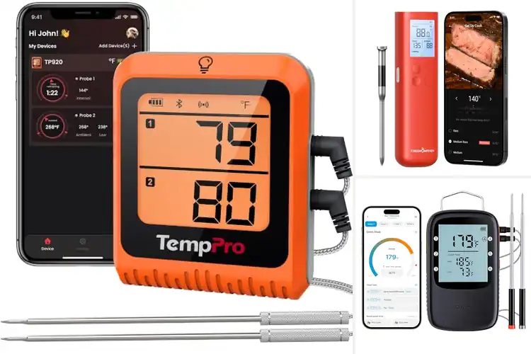 Detailed view of Best Bluetooth Grill Thermometers