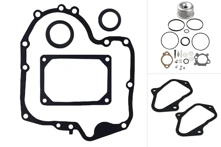 Detailed view of Best Briggs Stratton Gaskets