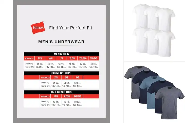 Detailed view of Best Cotton T-Shirts: Top 10 Soft & Stylish Picks