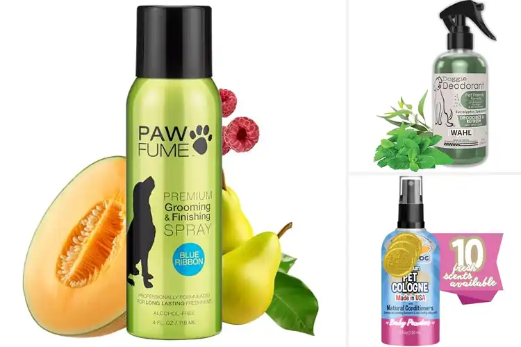 Detailed view of Best Dog Deodorizers For Fur: Top 10 Fresh, Soft & Odor-Free