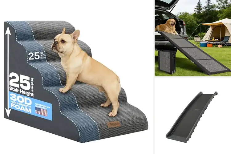Detailed view of Best Dog Ramps For Arthritic Dogs