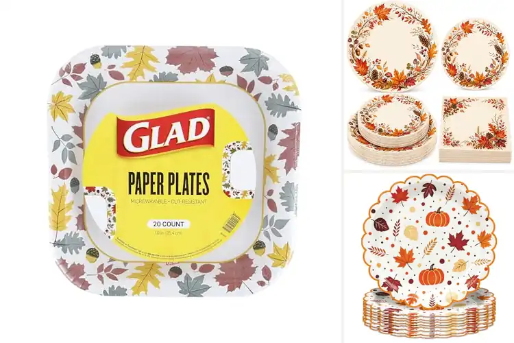 Detailed view of Best Fall Entertaining Plates to Elevate Your Gatherings