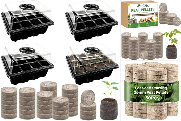 Detailed view of Best Flower Seed Starter Pods for Easy Blooms
