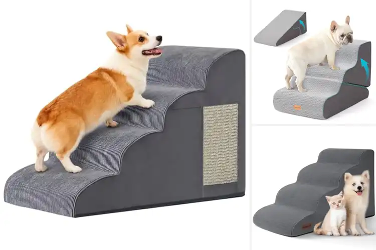 Detailed view of Best Foam Ramps For Pets