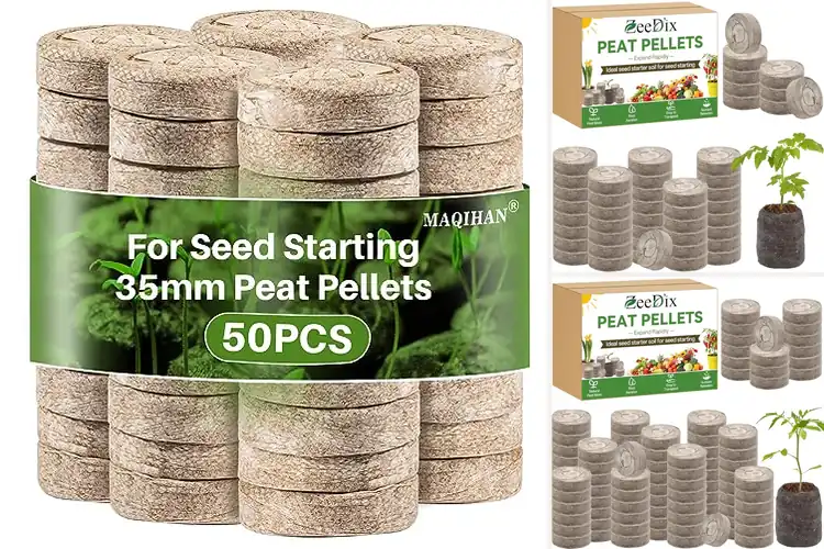 Detailed view of Best Garden Seed Pods