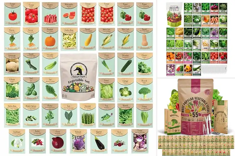 Detailed view of Best Garden Seed Starter Packs: Top 10 for Easy Growing