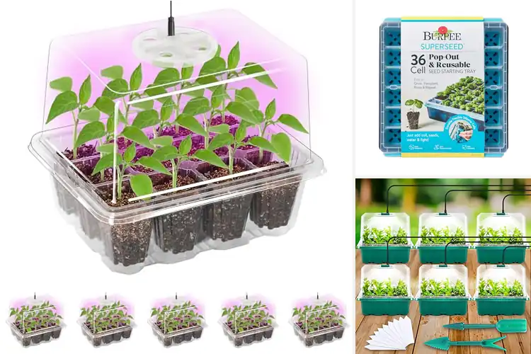 Detailed view of Best Indoor Seed Starters