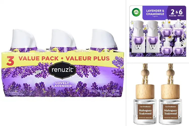 Detailed view of Best Long Lasting Air Fresheners