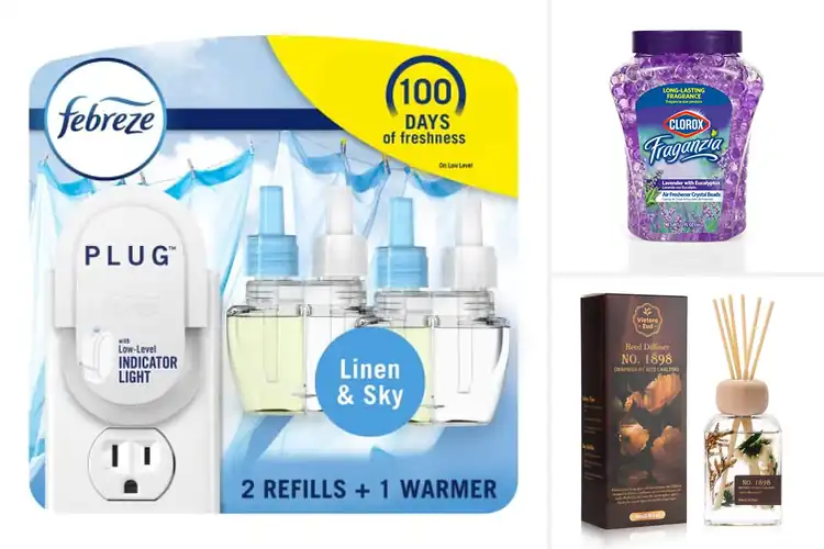 Detailed view of Best Long Lasting Home Fragrances
