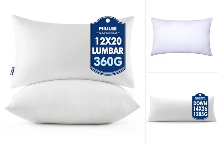 Detailed view of Best Lumbar Pillow Inserts