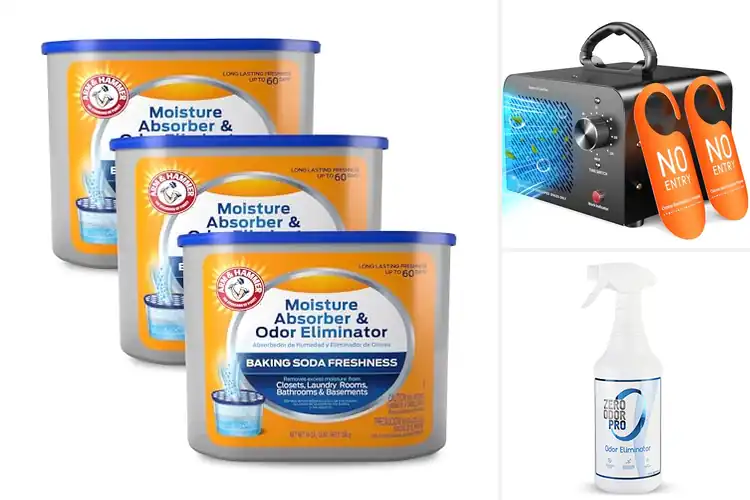 Detailed view of Best Odor Neutralizers for Fresh, Clean Spaces