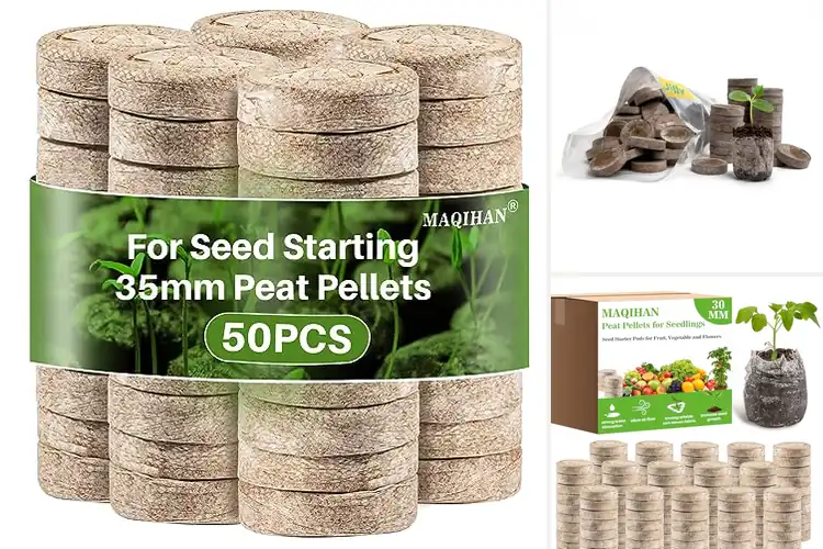 Detailed view of Best Peat Pellets For Seedlings