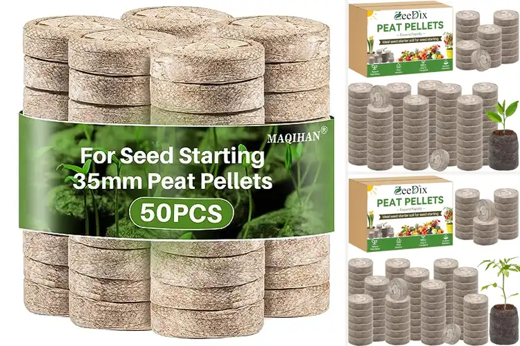 Detailed view of Best Peat Pellets For Seeds