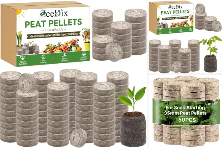 Detailed view of Best Peat Pods For Flowers: Bloom Smarter, Grow Easier