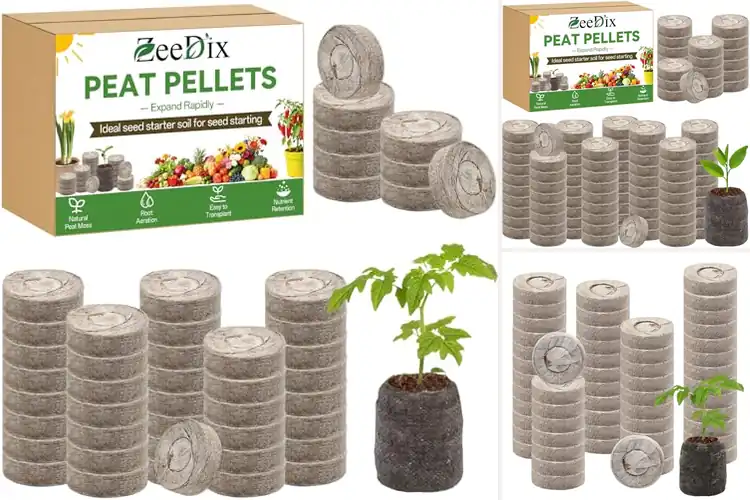 Detailed view of Best Peat Pods For Herbs