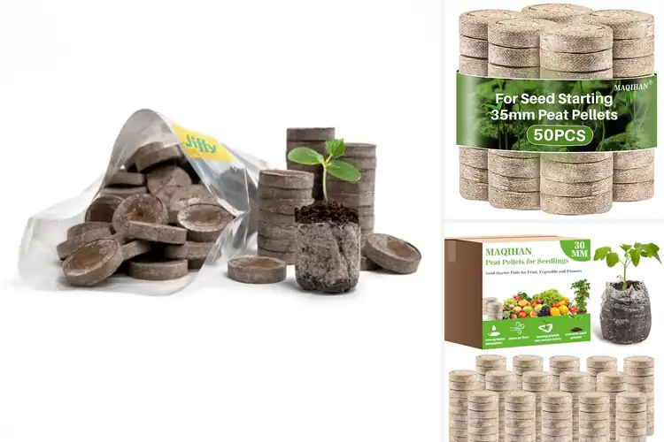 Detailed view of Best Peat Pods For Seeds