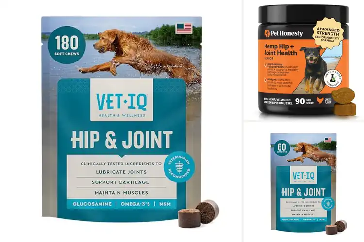 Detailed view of Best Pet Accessories For Joint Health