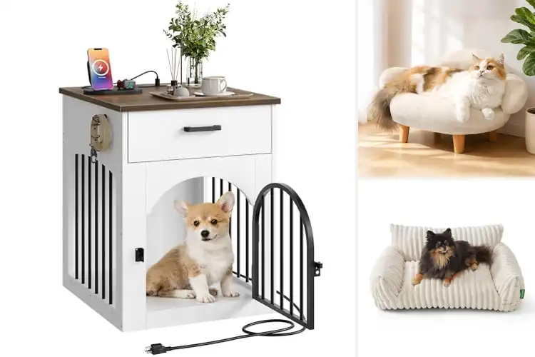 Detailed view of Best Pet Furniture For Small Breeds