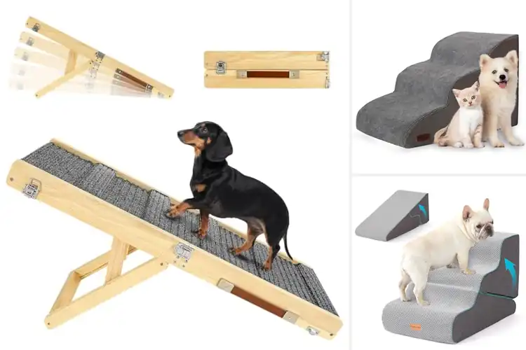 Detailed view of Best Pet Ramps For Small Dogs