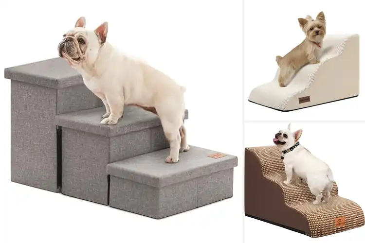 Detailed view of Best Pet Stairs For Couches: Top 10 Safe & Stylish Picks