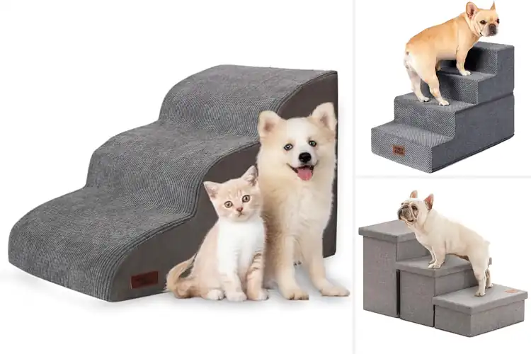Detailed view of Best Pet Steps For Senior Dogs