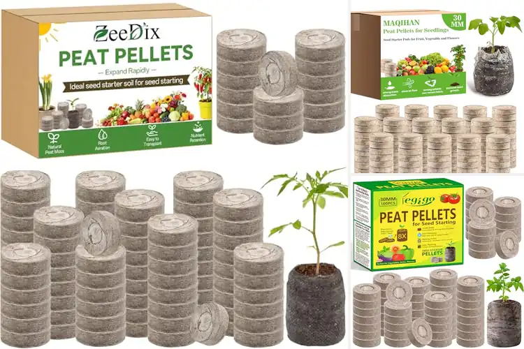 Detailed view of Best Seed Culture Peat Pods