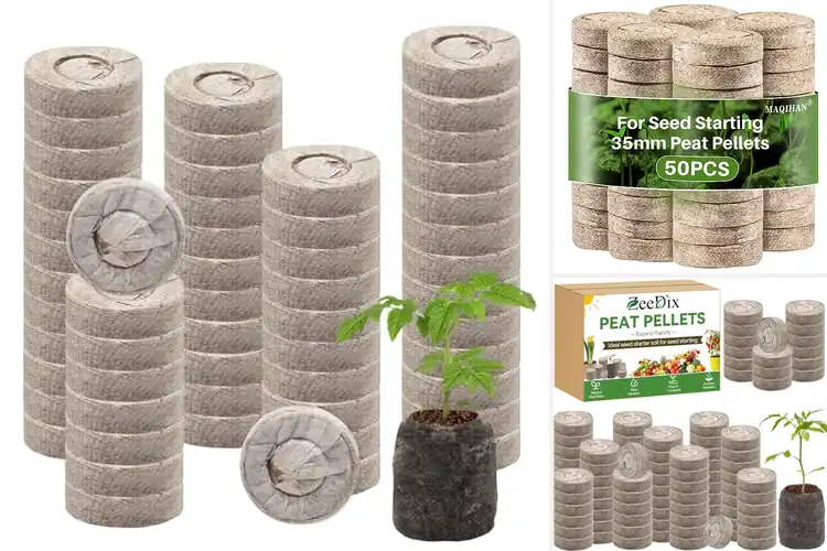 Detailed view of Best Seed Germination Pellets