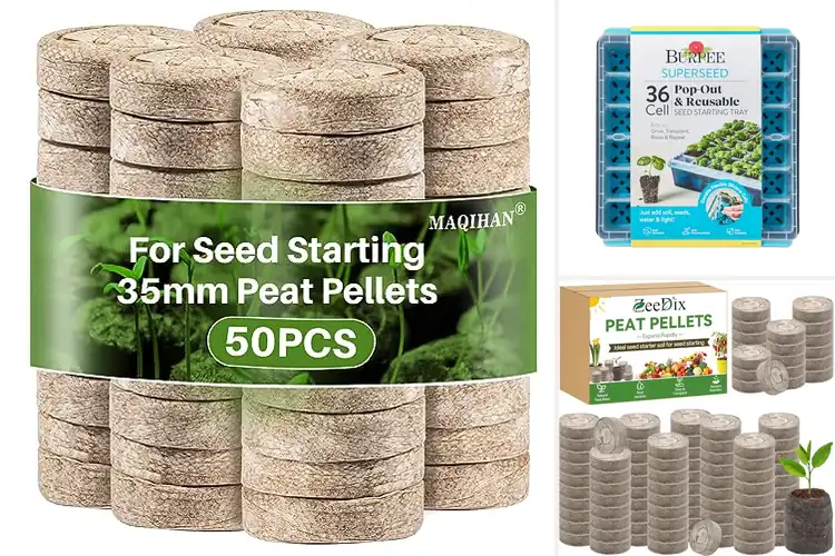 Detailed view of Best Seed Germination Pods