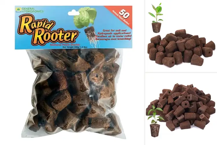 Detailed view of Best Seed Starter Plugs: Grow Healthy Seedlings with Ease
