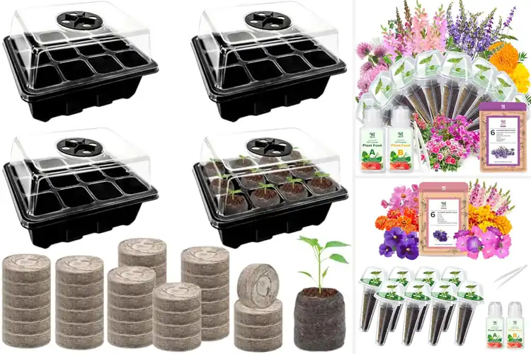 Detailed view of Best Seed Starter Pods For Flowers
