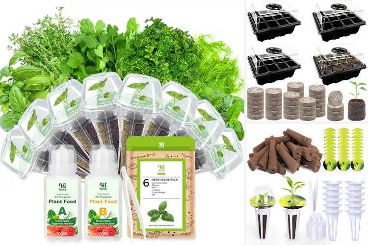 Detailed view of Best Seed Starter Pods For Herbs: 10 Easy Kitchen Picks