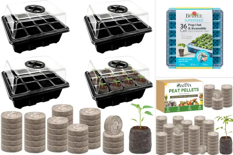 Detailed view of Best Seed Starter Pods For Vegetables