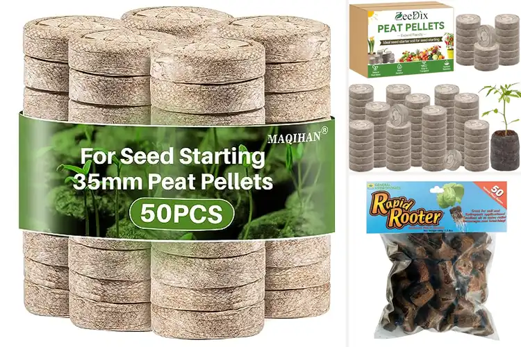 Detailed view of Best Seed Starting Pods