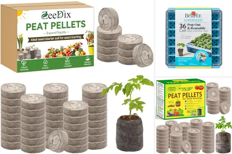 Detailed view of Best Seedling Pods: 10 Easy Picks for Thriving Plants