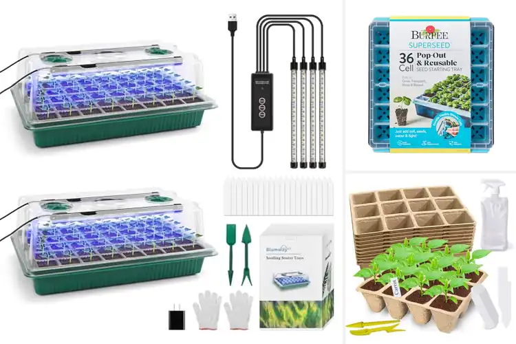 Detailed view of Best Seedling Starter Kits