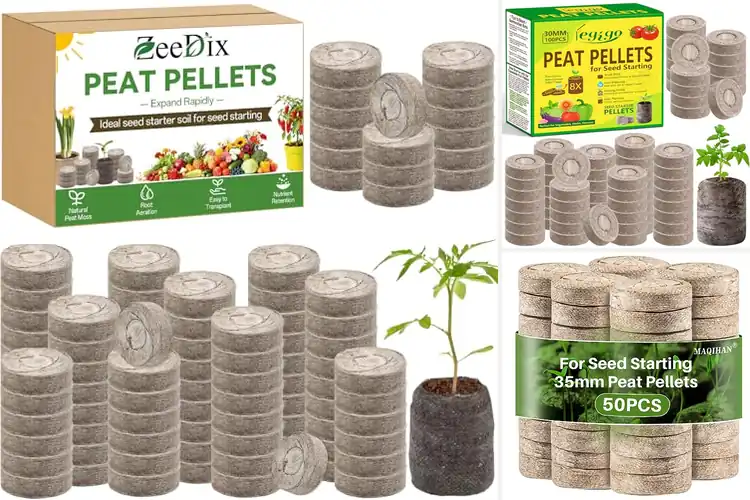 Detailed view of Best Seedling Starter Peat Pods