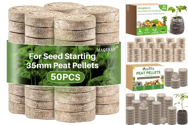 Detailed view of Best Seedling Starter Pellets