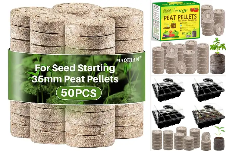 Detailed view of Best Seedling Starter Pods: 10 Easy Options for Success