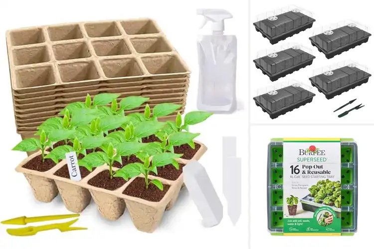 Detailed view of Best Seedling Starters
