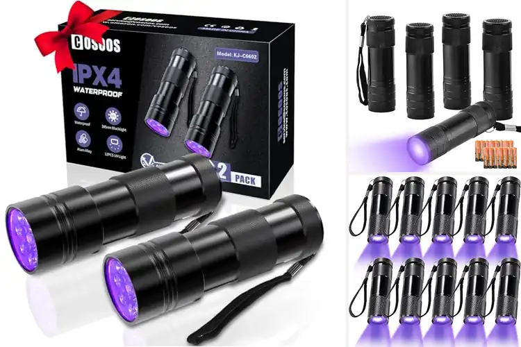Detailed view of Best UV Flashlights for Spotless Homes & Outdoor Adventures
