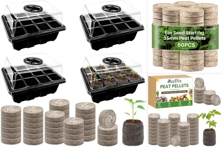 Detailed view of Best Vegetable Seed Starter Pods for Easy Growing
