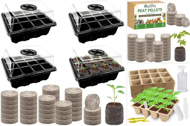 Detailed view of Best Vegetable Starter Peats