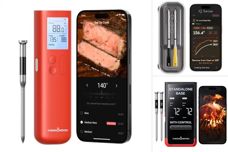 Detailed view of Best Wireless Meat Thermometers